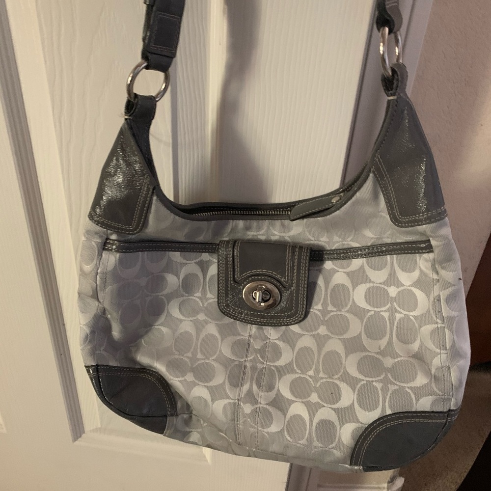 Silver coach